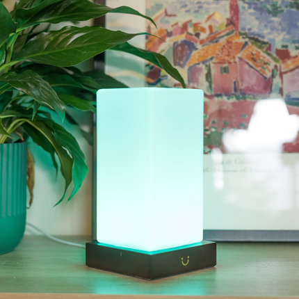 Modern Friendship Lamp with Stylish Timber & Frosted Glass Design | Instant Connection for Meaningful Relationships 8