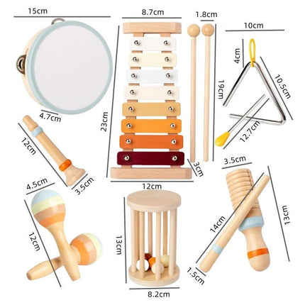 Montessori Musical Instrument Set for Toddlers with Professionally Tuned Sounds | Educational Gift for Early Music Discovery 2