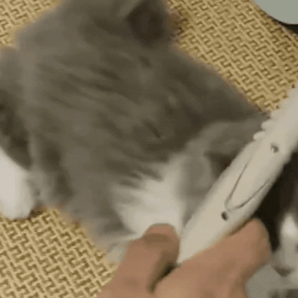Dog Hair Trimmer for Cats and Dogs – image 13