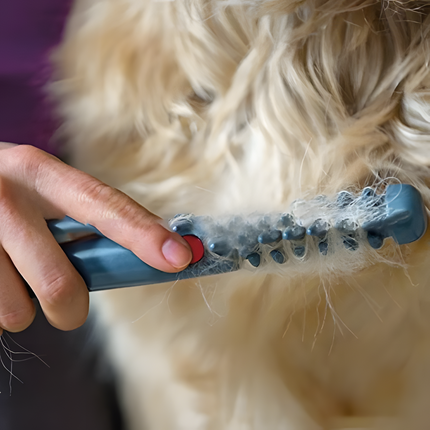 Dog Hair Trimmer for Cats and Dogs, Dog Grooming Tools