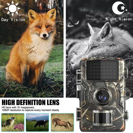 Nature Watcher | Outdoor Wildlife Camera with Night Vision & Audio Recording | High-Definition Imagery for Animal Observation 2