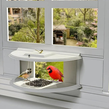 Nature's View | Window Bird Feeder with Easy Suction Cup Setup | Enjoy Close-Up Bird Watching from Home 0
