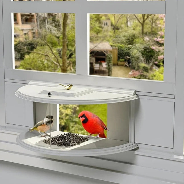 Nature's View | Window Bird Feeder with Easy Suction Cup Setup | Enjoy Close-Up Bird Watching from Home 0