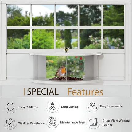 Nature's View | Window Bird Feeder with Easy Suction Cup Setup | Enjoy Close-Up Bird Watching from Home 2