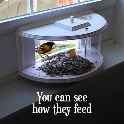 Nature's View | Window Bird Feeder with Easy Suction Cup Setup | Enjoy Close-Up Bird Watching from Home 3