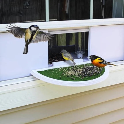 Nature's View | Window Bird Feeder with Easy Suction Cup Setup | Enjoy Close-Up Bird Watching from Home 6