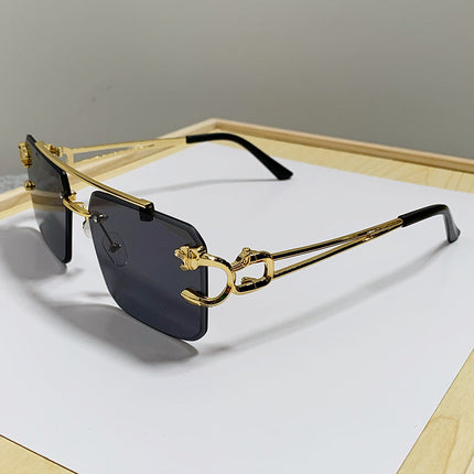 Fashion Sunglasses for Women, Tinted Luxury Sunglasses with Statement Design