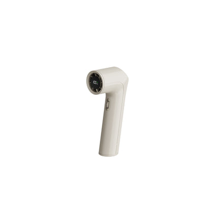 Handheld Clothes Steamer