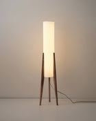 Floor Lamp for Living Room, Standing Lamp with Walnut Wood Base – image 14