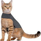 Dark Gray / M