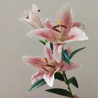 Diamond Pink