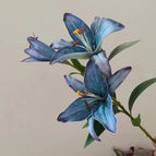 Vintage Blue