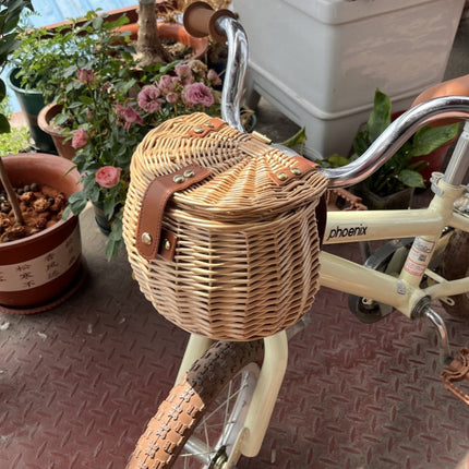 Front Bike Basket with Removable Cover, Woven Bicycle Bag for Handlebars