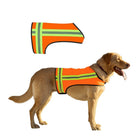 Dog Vest Reflective, Orange Safety Vest for Dogs, High Visibility Dog Clothes for Walking and Jogging