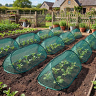 Crop Cover for Plants, UV Resistant Garden Netting for Vegetables and Flowers – image 7