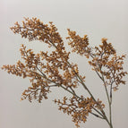 Autumn Yellow
