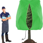 Green / 80