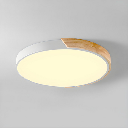Organic Design Flush Mount Light with Wood Accent | Dimmable Ceiling Fixture for Modern Interiors 5