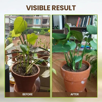 Organic Soil Activator, Gardening Supplies – image 7