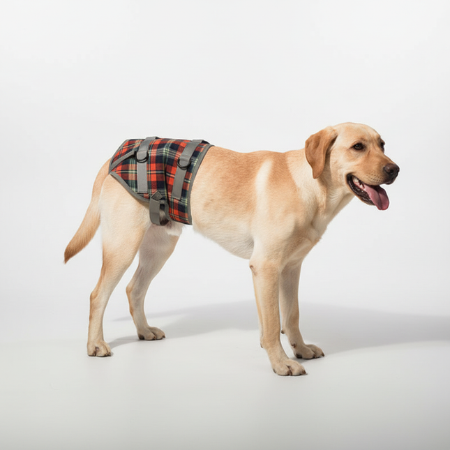 Dog Harness for Hind Legs, Dog Lifting Harness for Senior Dogs, Adjustable Dog Walking Harness for Weak Back Legs_01