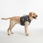 Dog Harness for Hind Legs, Dog Lifting Harness for Senior Dogs – image 4