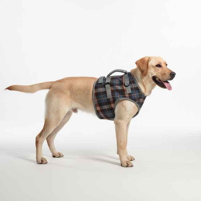 Dog Harness for Hind Legs, Dog Lifting Harness for Senior Dogs, Adjustable Dog Walking Harness for Weak Back Legs_03