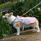 Outdoor Companion | Dog Cooling Vest with Three-Layer Fabric for Instant Relief 0