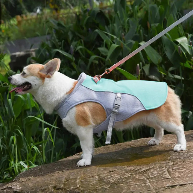 Outdoor Companion | Dog Cooling Vest with Three-Layer Fabric for Instant Relief 1