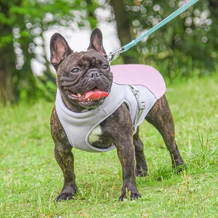 Outdoor Companion | Dog Cooling Vest with Three-Layer Fabric for Instant Relief 2
