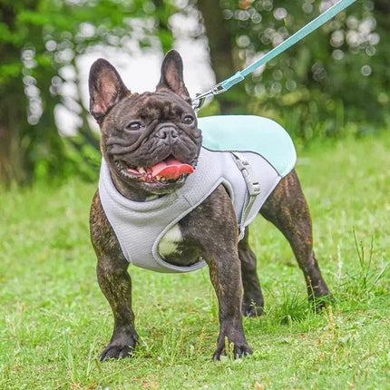 Outdoor Companion | Dog Cooling Vest with Three-Layer Fabric for Instant Relief 3