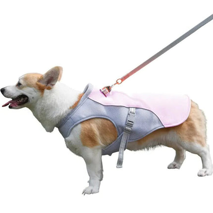 Outdoor Companion | Dog Cooling Vest with Three-Layer Fabric for Instant Relief 6