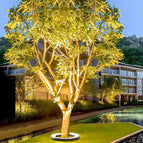 8 Pcs Set (For 21.6 in tree) / Warm White