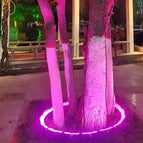 7 Pcs Set (For 18.1 in tree) / RGB