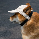 PawShade | Dog Baseball Cap with Ear Holes | Adjustable Sun Hat for Summer Comfort 0