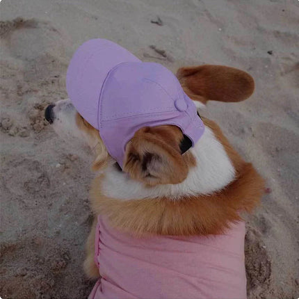 PawShade | Dog Baseball Cap with Ear Holes | Adjustable Sun Hat for Summer Comfort 3