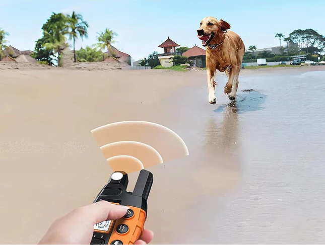 E Collar for Dogs with Remote, Waterproof Remote Dog Training Collar with Beep and Vibration, Dog Training Tools_01