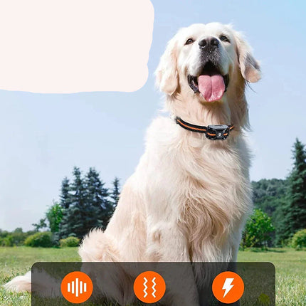 Pawfey Dog Training Collar | Waterproof, Rechargeable, 1000m Range, E Collar for Dogs 4