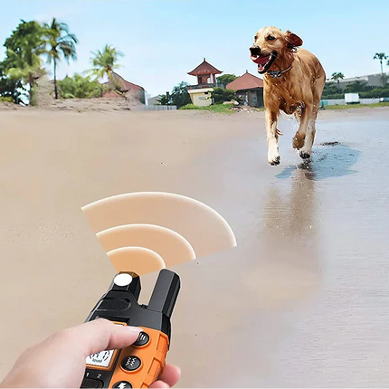Pawfey Dog Training Collar | Waterproof, Rechargeable, 1000m Range, E Collar for Dogs 8