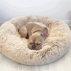 Pawfey | Calming Dog Bed with Ergonomic Support | Super Soft Design for Peaceful Sleep 0