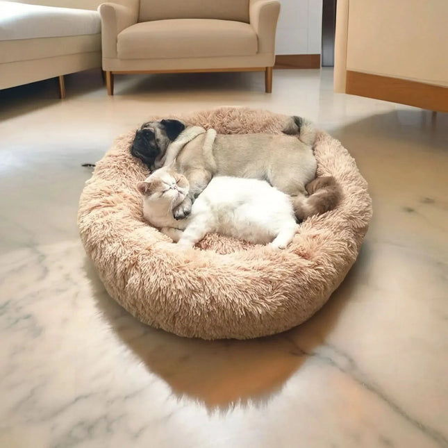 Pawfey | Calming Dog Bed with Ergonomic Support | Super Soft Design for Peaceful Sleep 1