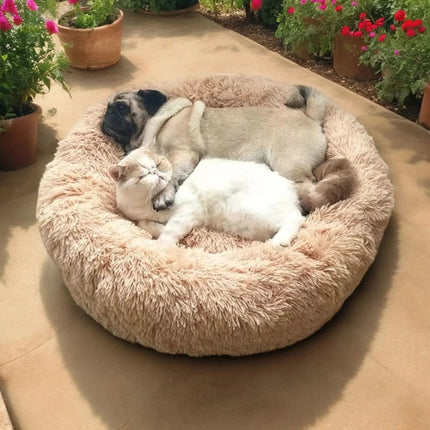 Pawfey | Calming Dog Bed with Ergonomic Support | Super Soft Design for Peaceful Sleep 3
