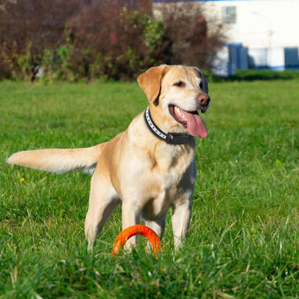 Pawfey | Wireless Dog Fence System with Weatherproof Collar | Adjustable Boundary for Safe Roaming Outdoors 5