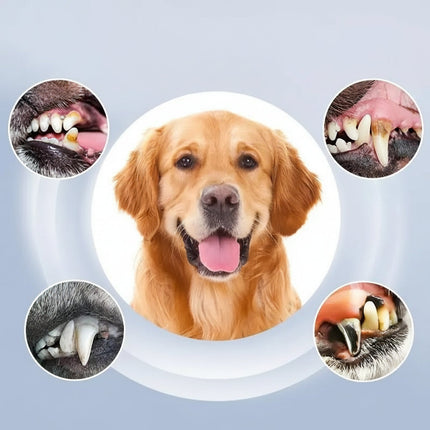 PetCare | Dog Dental Cleaning Device with 5 Adjustable Levels | Effective Pet Dental Care for Healthier Smiles 1