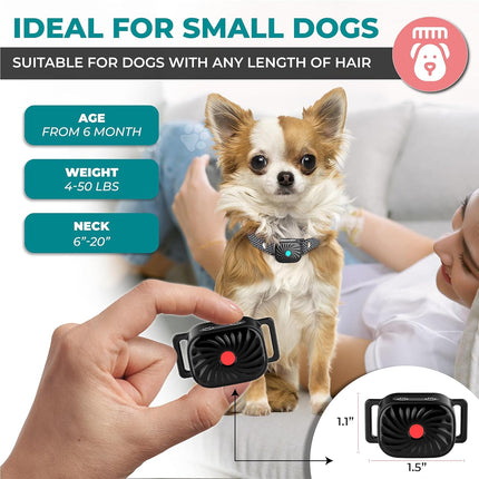 PetSilence | Anti Bark Collar for Small Dogs with Gentle Vibration | Adjustable Fit for Effective Bark Control 1