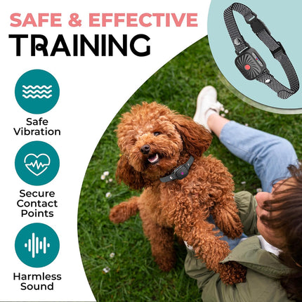 PetSilence | Anti Bark Collar for Small Dogs with Gentle Vibration | Adjustable Fit for Effective Bark Control 2