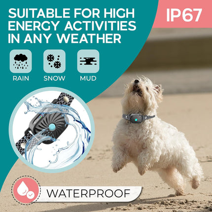PetSilence | Anti Bark Collar for Small Dogs with Gentle Vibration | Adjustable Fit for Effective Bark Control 4