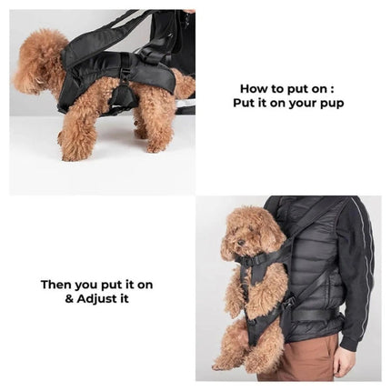 Pet Carrier Cockpit | Waterproof Dog & Cat Carrier Backpack with Adjustable Fit for Comfortable Travel 3