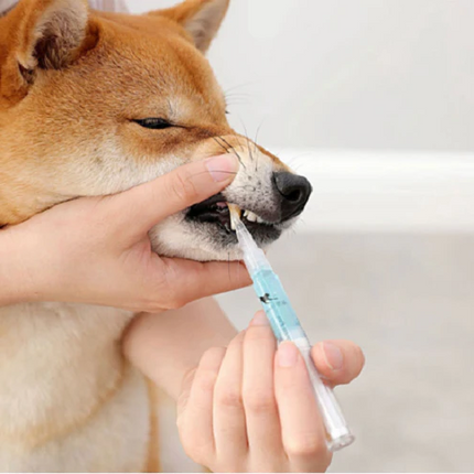 Pet Dental Care | Teeth Health Solution with Natural Ingredients | Effective Stain Removal for Optimal Oral Hygiene 5
