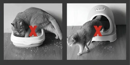 Pet Haven | Cat Litter Mat with Dual-Layer Design & Water Resistance | Machine Washable for Easy Cleanup 2