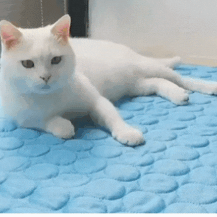 Pet Haven | Extra-Large Dog Cooling Mat with Breathable Surface | Ideal for Summer Comfort 4